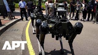 Taiwan Unveils Armed AI Robot Dogs for Maritime Defence | APT