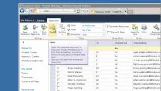 Project Server 2010: Howto Manage Individual Resource Calendar