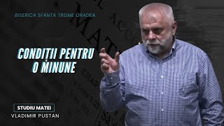 Vladimir Pustan | MATEI | 65.Condiții pentru o minune | Cireșarii TV | 29.10.2023