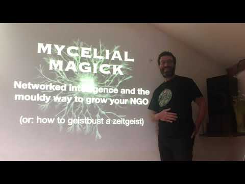 Mycelial Magic and Networked Intelligence