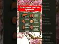 Естественная чистка организма #здоровье #полезныесоветы #шортс