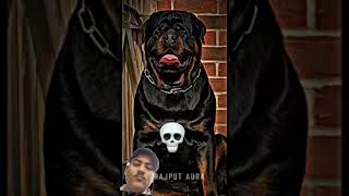 short# video😎##shortfilms $# of#animals