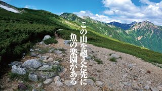 日本でもっとも高い場所に生息する魚を求めて三日間の登山釣行に行ってきました。