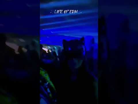 Tomorrowland 2022 Short Video