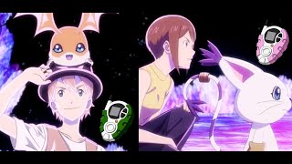 Patamon And Tailmon Evolution - Digimon Adventure Last Evolution Kizuna Fanmade