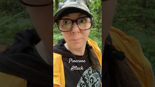 🤕 Vlog: how a pinecone attack might have helped me #skincancer #ecotherapy #vlog #story