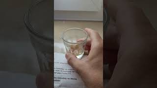 Eine Fruchtfliegenfalle mit Tonikum