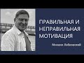 Правильная и неправильная мотивация Михаил Лабковский