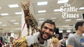 Tacoma’s Catluminati talks TikTok fame, holdable cats and nose boops