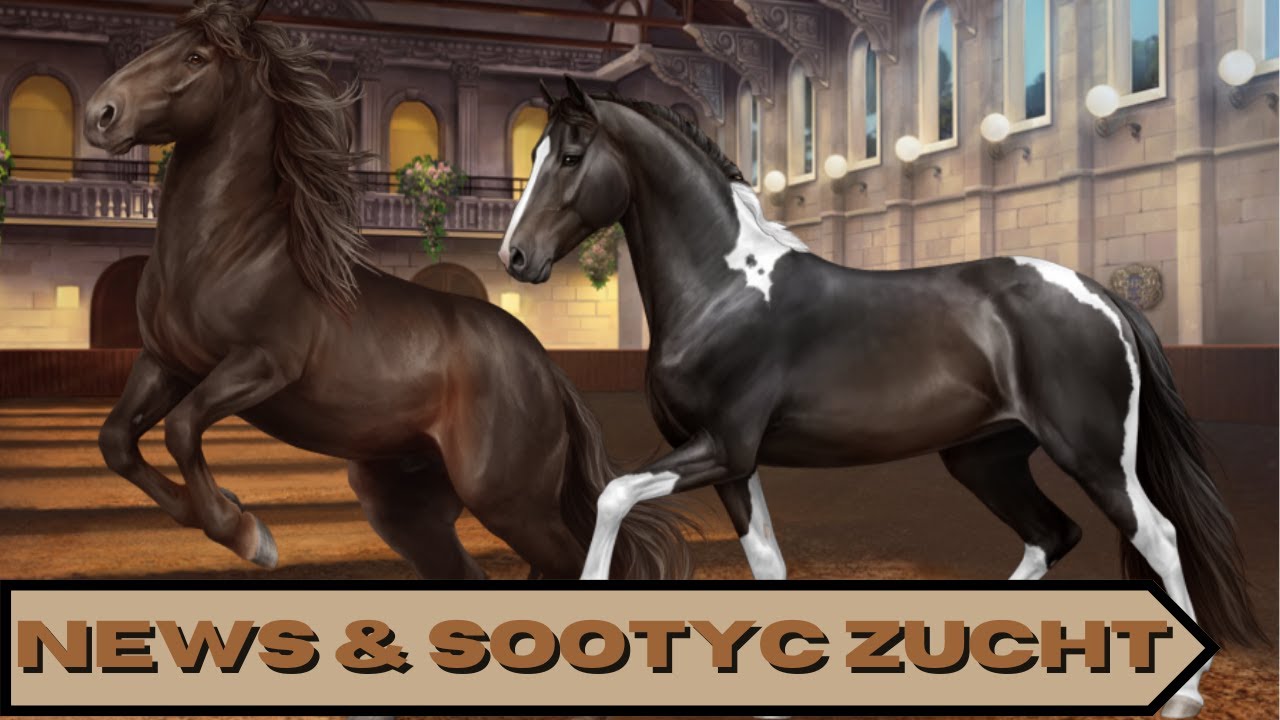 81 Horse Reality Die Oldenburger sind da, unerwartete Einzüge und wir