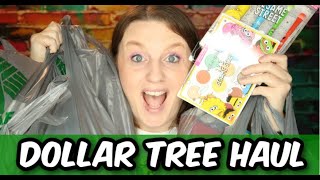 Dollar Tree Haul April 2024 || Sesame Street Wet & Wild Items  || Shopping Haul