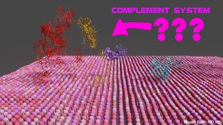 Complement system Blender Animation