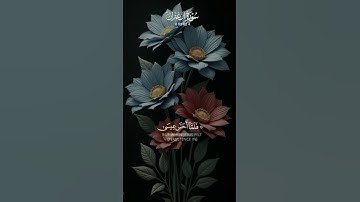 تلاوات عطرة من سورة آل عمران القارة عبد العزيز سحيم