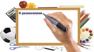 Русский язык, 5 класс. Существительные 5 урок