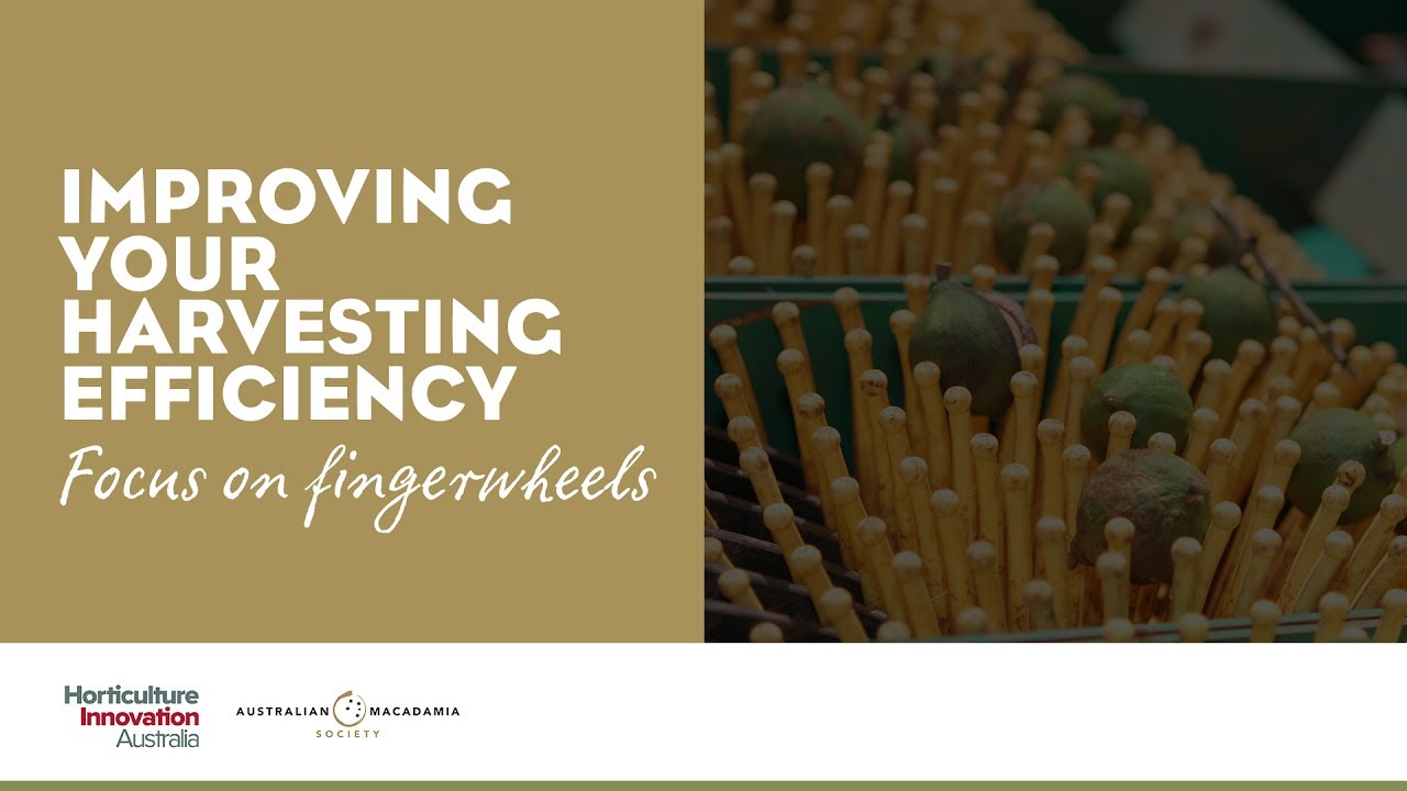 Improving Your Harvesting Efficiency ~ focus on fingerwheels