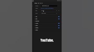 H.264 Vs. H.265 HEVC Codec Export Settings In Premiere Pro #shorts