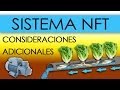 HIDROPONÍA - SISTEMA NFT EN LECHUGAS (Nutrient Film Technique)