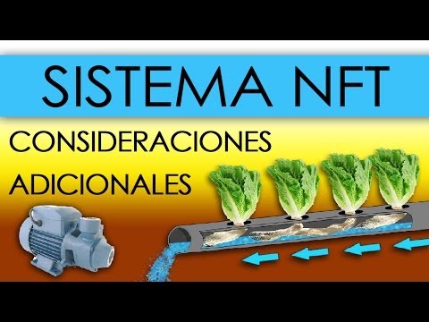 Vídeo: Un Sistema Hidropónico Axénico Aireado Para La Aplicación De Tratamientos Radiculares: Piruvato Exógeno Como Caso Práctico