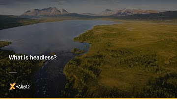 What is headless architecture?