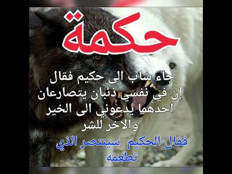 24 أكتوبر 2023 حكمة