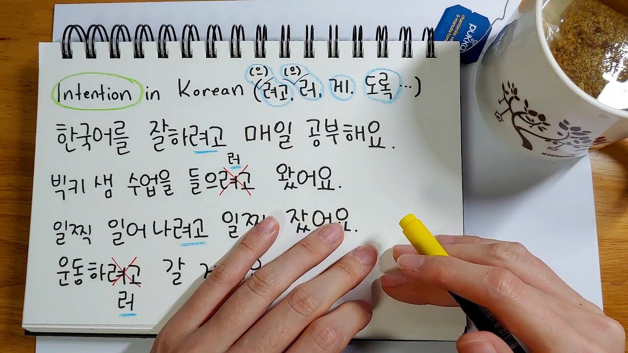 Saying your Intention in Korean [(으)려고, (으)러, -게, -도록]