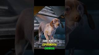 Does anyone else remember the movie UNDERDOG? #moviereview #superhero