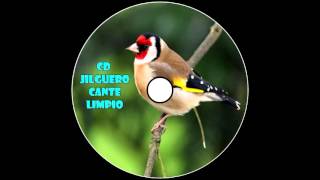 CD Jilguero Cante Limpio 2016 / ElTitiHD