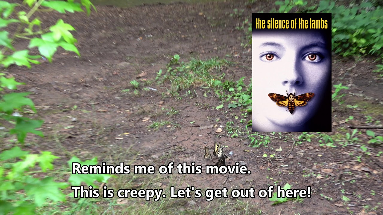 Dahlonega, Georgia - Nearby Falls and Wineries