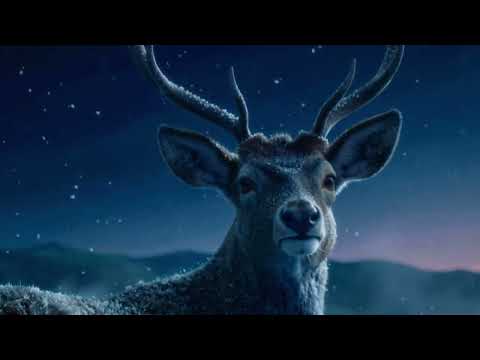 Biçâre (Hard Rock) ✦ Divane