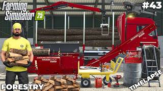 BUILDING A MASSIVE SHED & FIREWOOD PRODUCTION! 🌲🪓 | FORESTRY | Farming Simulator 25 | EP 43