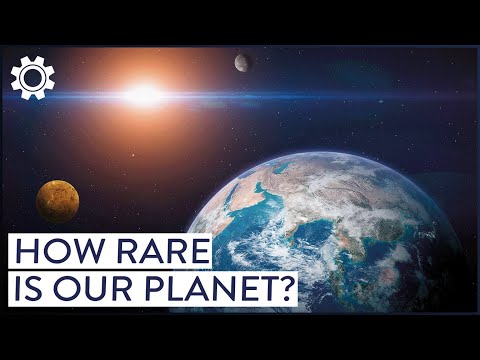 HOW SIMPLE LAWS OF PHYSICS CREATED VASTLY DIFFERENT WORLDS