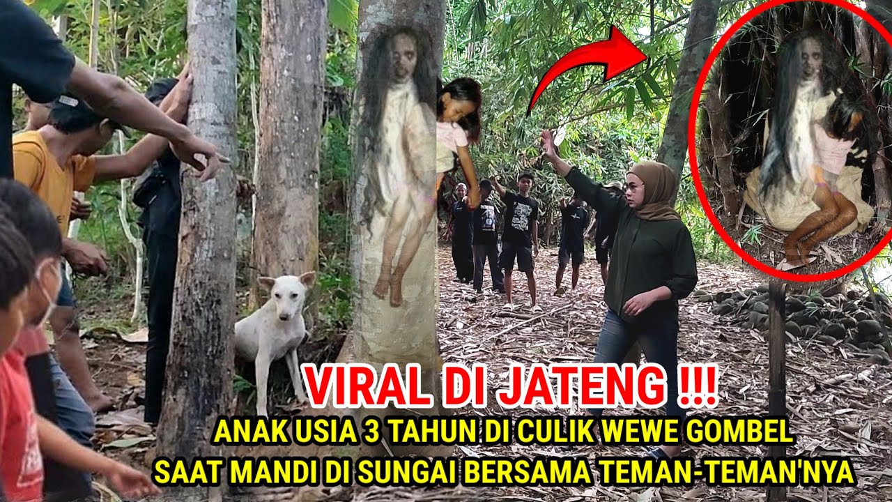 🔴 VIRAL !! Anak 7 Hari Hilang Di Temukan Dalam Pohon Dengan Kondisi Seperti ini