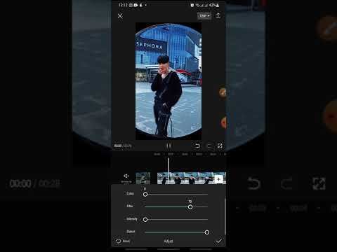 Fish Eye On CapCut Tutorial