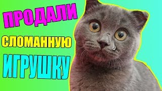 ПРОДАЛИ СЛОМАННУЮ ИГРУШКУ КОТЕНКУ