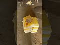 Turnkey Solution