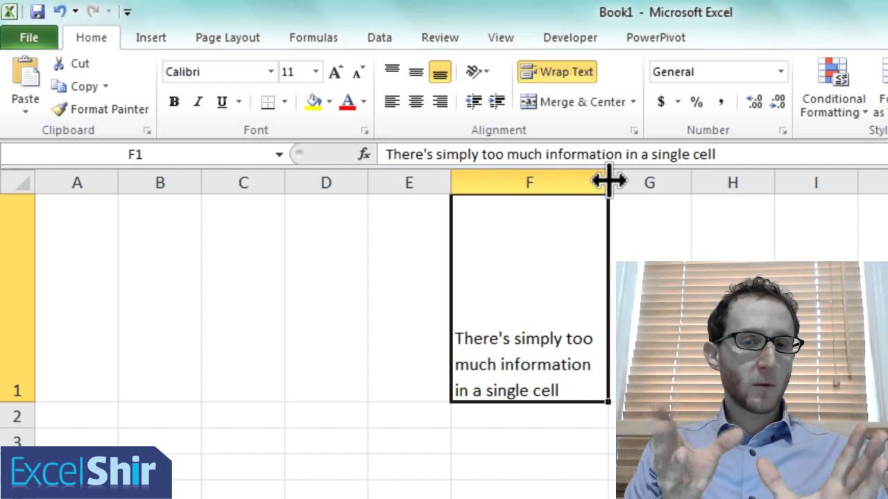 Microsoft Excel Tutorial: Wrap Text When There's Too Much Data for One ...