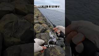 시화방조제에서 낚시하면 일어나는 일