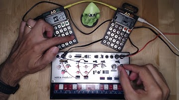 Squid Jam - RAW jam with Volca Modular, PO12 and PO16 - No postprocessing - No words