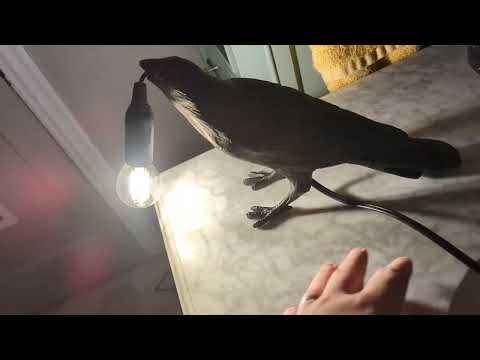 Temu review: The Gothic Crow Lamp, Cute Black Raven Desk Light
