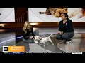SF SPCA provides ways to keep your pets safe during summer season