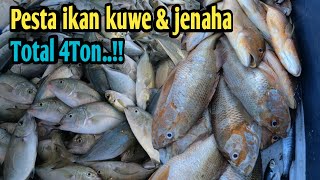 Fantastic..!! This is the first time I've caught this many || kuwe and jenaha fish