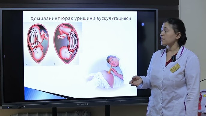 Men mushuk va eshakni yalamoqchiman Layla Star bilan anal jinsiy aloqa