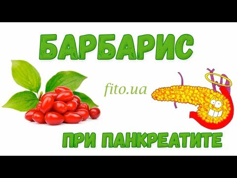 Барбарис: польза и вред, применение, приготовление | Аптека трав Фито