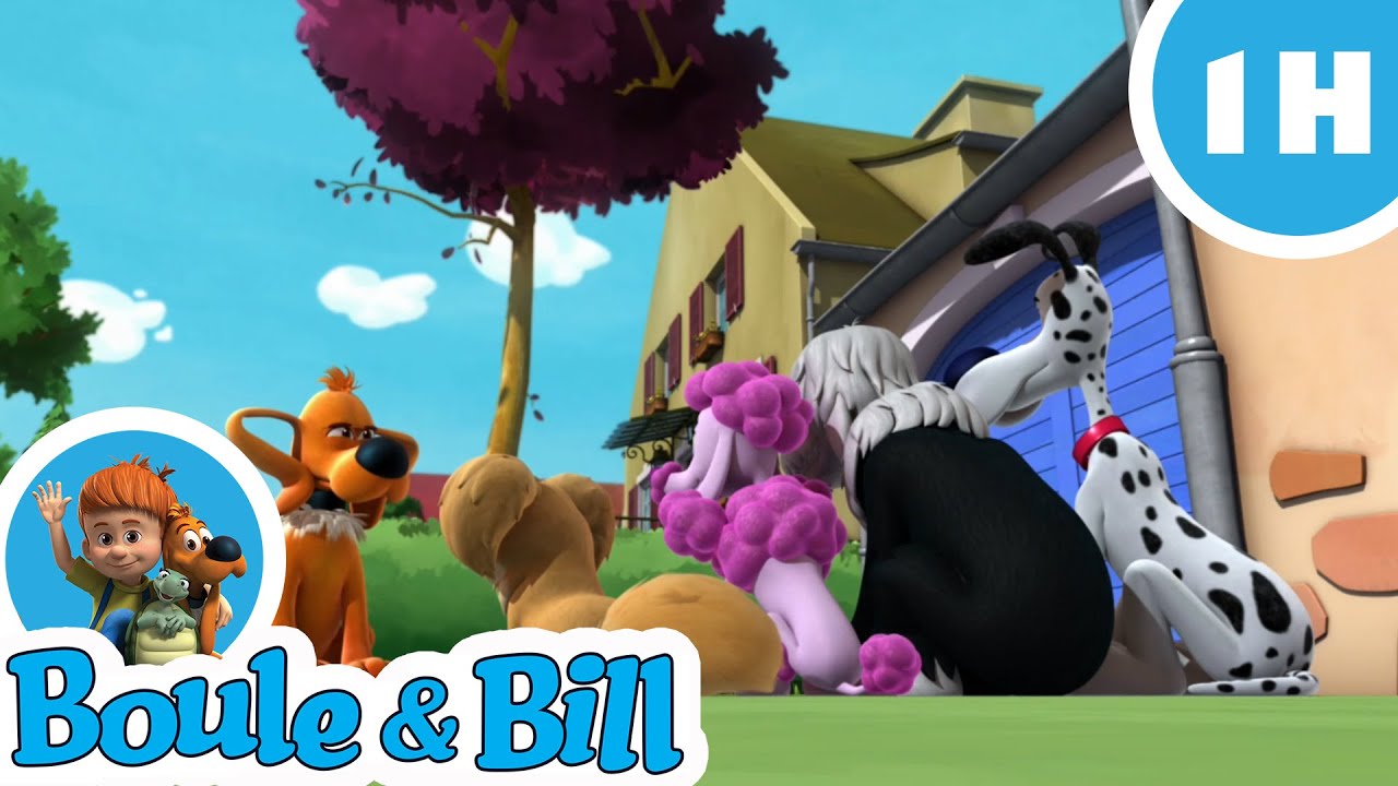 🐩 Boule et Bill ont plein d'amis chiens 🥰- Nouvelle compilation Boule et Bill FR