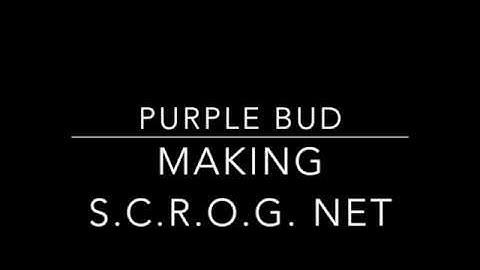 MAKING SCROG NET FOR 20 BUCKS