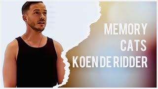 Memory - Cats - Koen de Ridder #cats #memory #live #singer #andrewlloydwebber