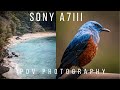 POV Photography with Sony A7III/Sigma 100-400mm - Relaxing Island Nature