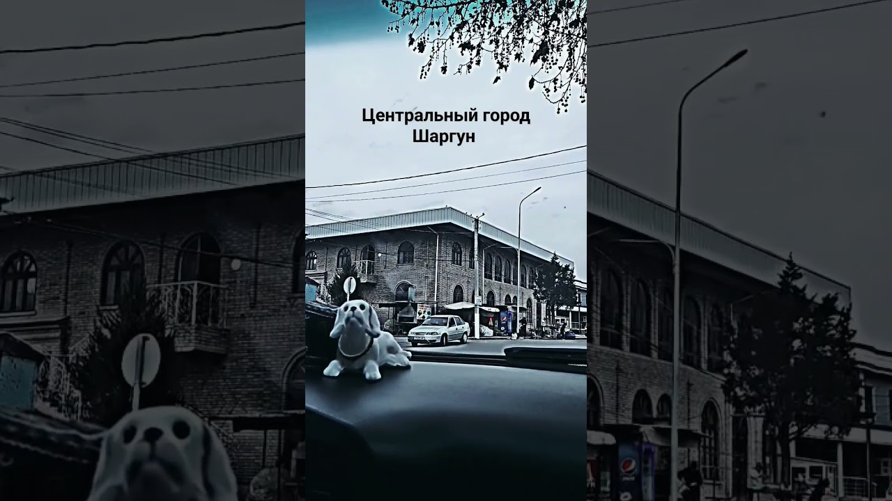 центральный город Шаргун 