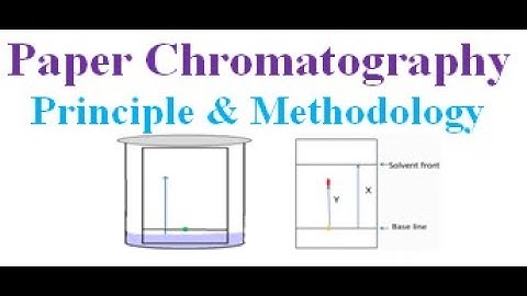 Paper chromatography Introduction, methodology, development techniques, advantages, disadvantages an