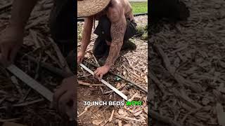 Living Mulch vs. Cardboard: Which is Better? 🤔